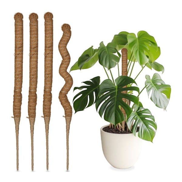 Kookostangot 60 cm