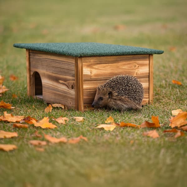 Igelkottshus, väderbeständigt tak, kattsäker entré