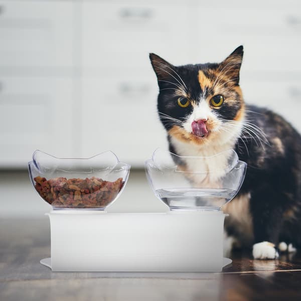 Kattfoderstation med 2 halkfria skålar