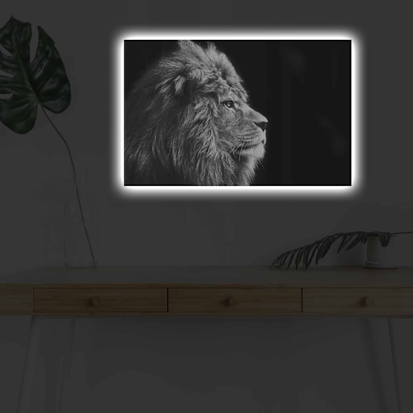 Dekorativ LED-belyst canvasmålning 4570DHDACT-058