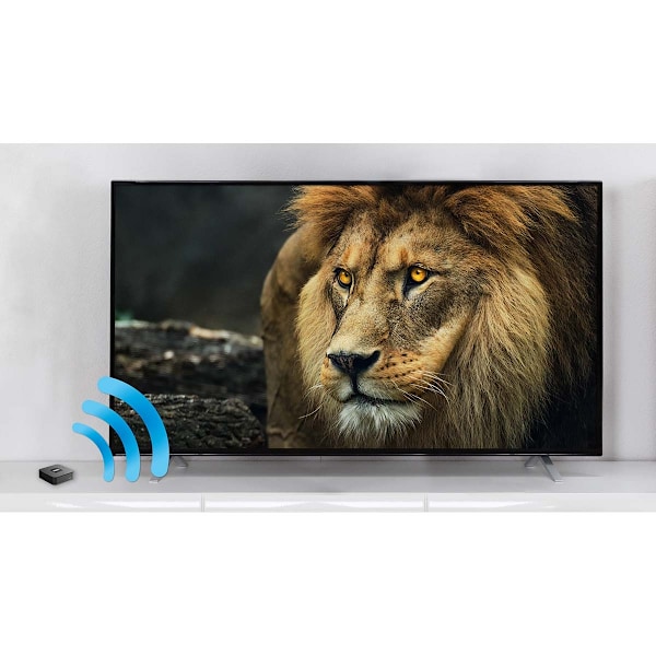 BART mini Bluetooth 5.0 sändare-mottagare