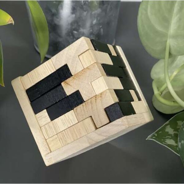 Puinen Brain Teaser palapeli