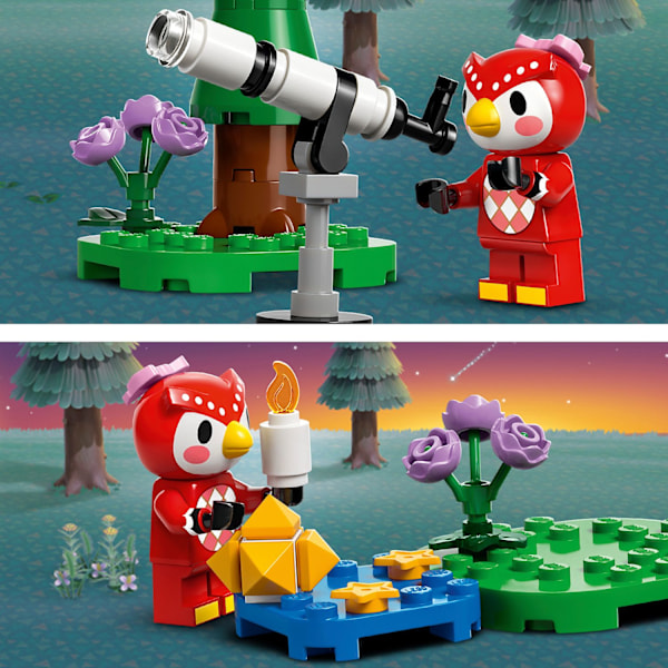 LEGO Animal Crossing Stargazing Celesten kanssa