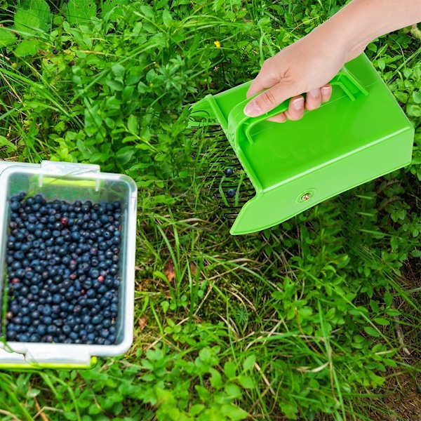 Bærplukker til blåbær, ribs og aronia - nem at bruge