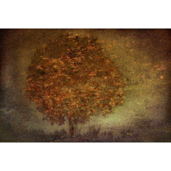 Autumn Tree - 50x70 cm