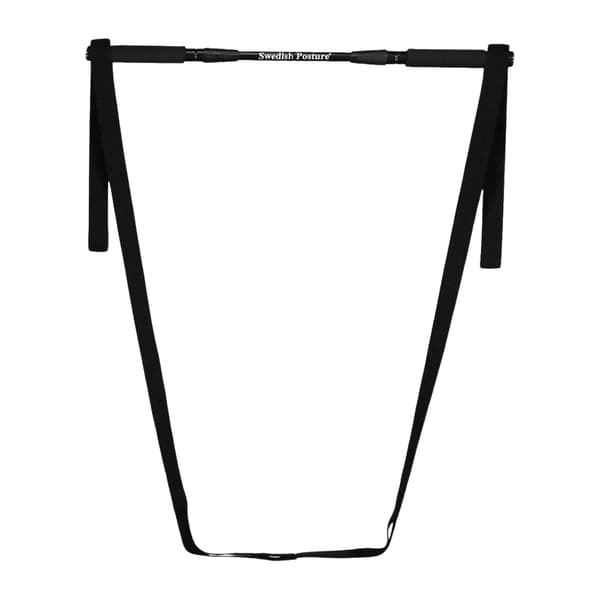 SWEDISH POSTURE Mini Gym