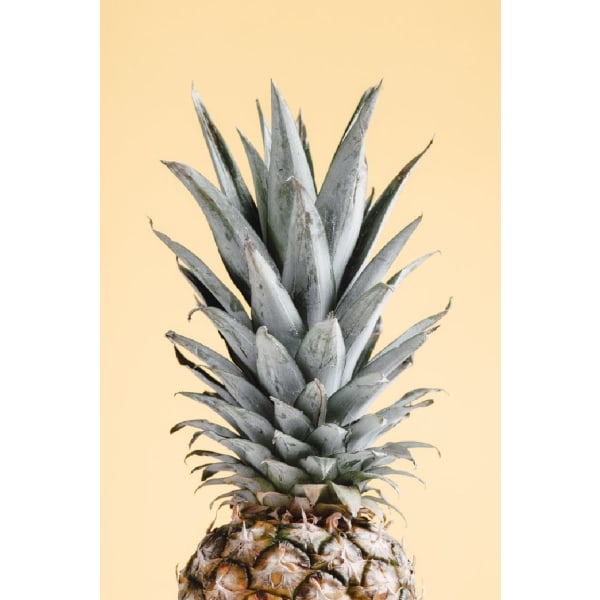 Pineapple Yellow 04 - 21x30 cm