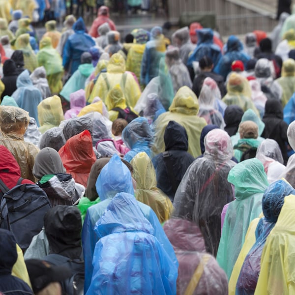 Engangs regnponcho, sæt med 20 stk