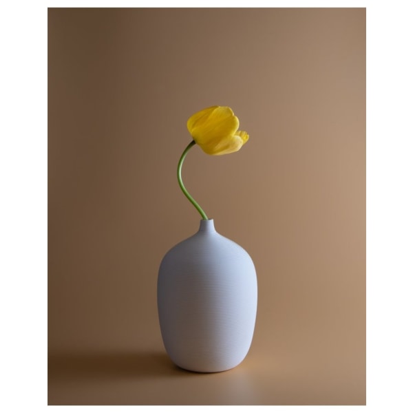 Tulip - 21x30 cm