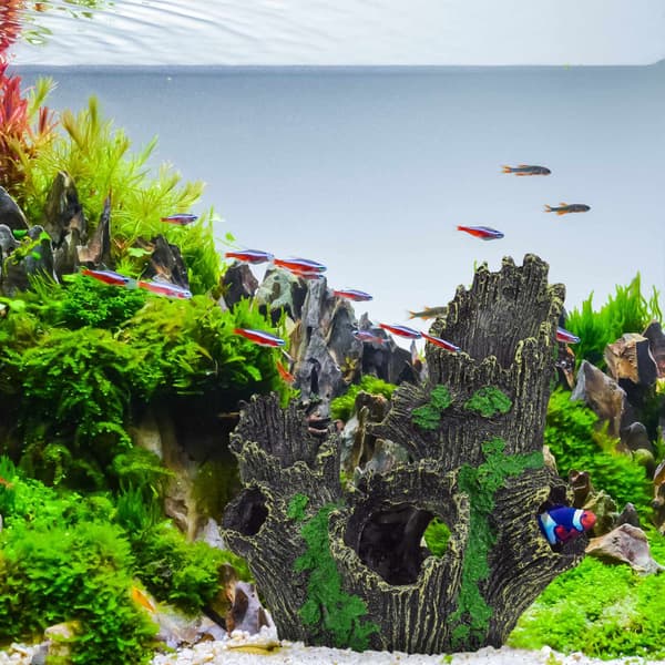 Akvarium dekoration trädstam