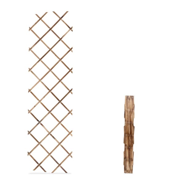 Utdragbart väggspaljer för växter, set om 3, 180x60 cm