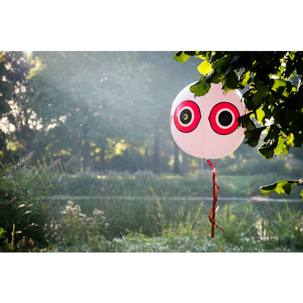 Knock Pest Scare ballon Sort