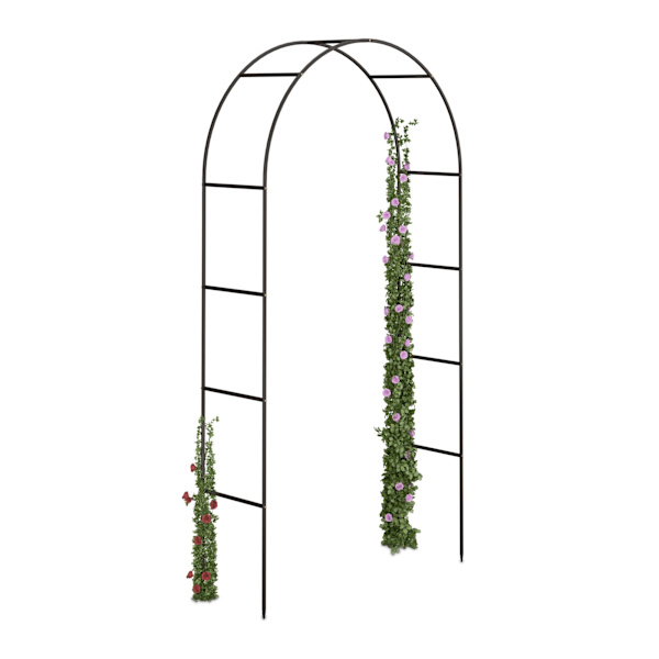 Rosenbåge trädgård 240 cm