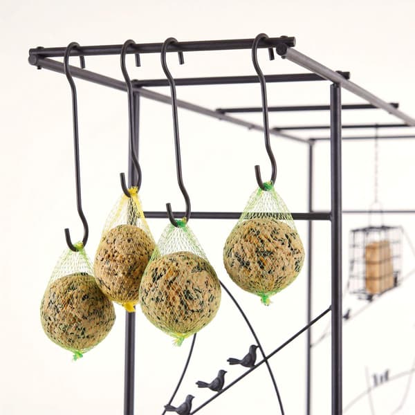 Rosenbue-espalier til haven – Fuglebad og foderstationer