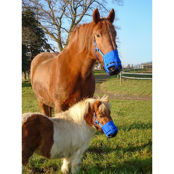 Betande nosparti Zephyr Short Cob (fullblod)
