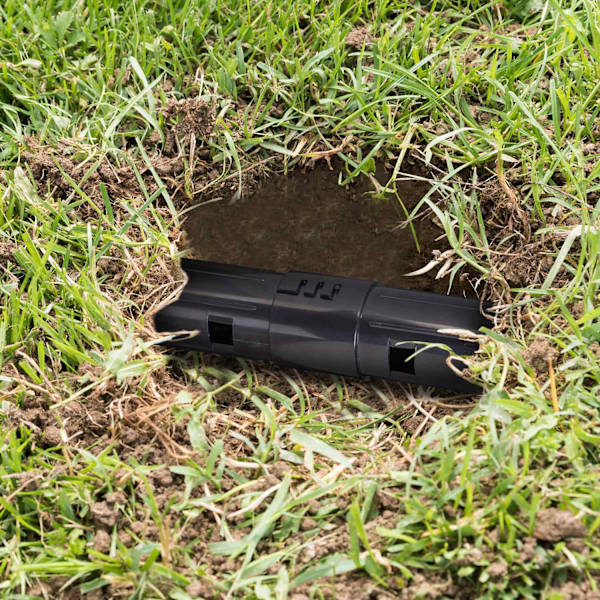 Mole Traps Live Trap -setti