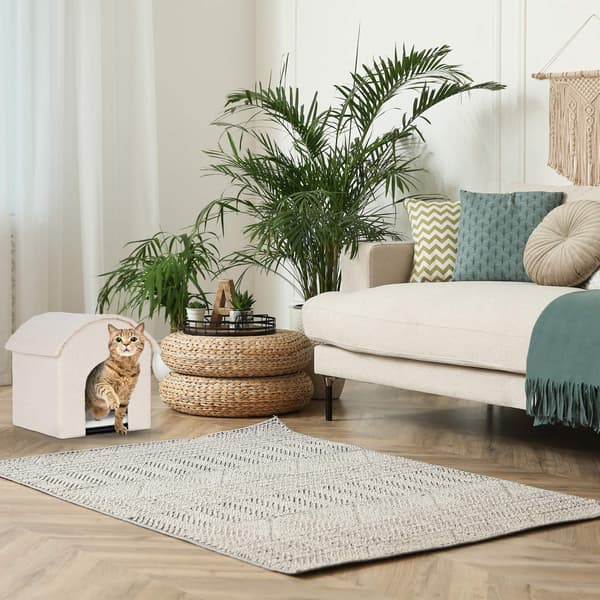 Beige kattegrav med kradseoverflade