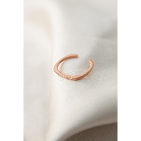 Silverring FA182304