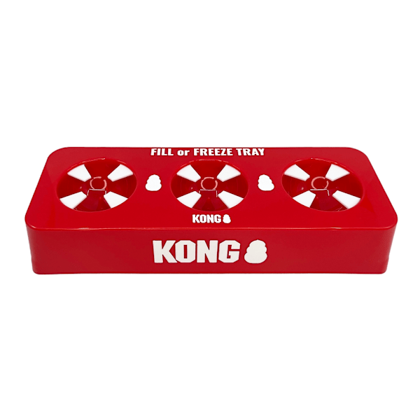 KONG fyll- eller frysbricka
