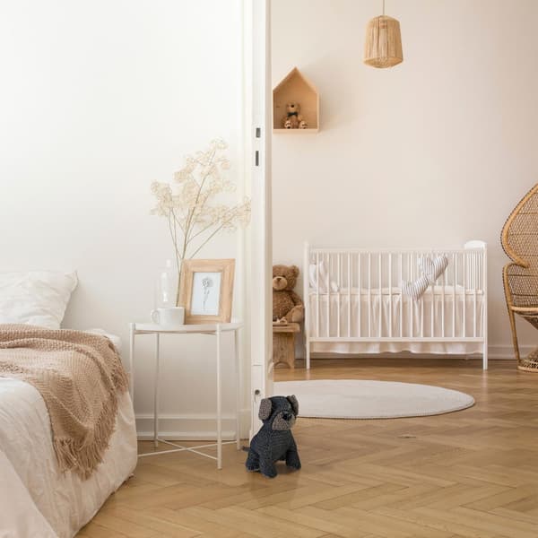 Dörr som fastnar hund