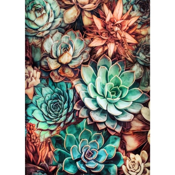 Succulents And Cactus 3 - 50x70 cm