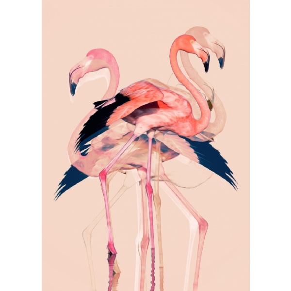 Flamingos Nr. 3 - 50x70 cm