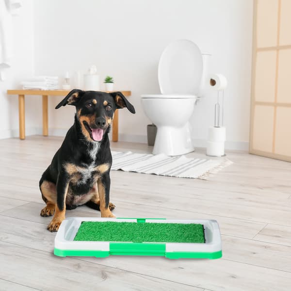 Valpströbricka med gräs – Easy Clean hundtoalett