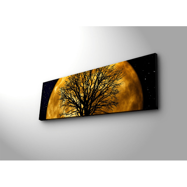 Dekorativ LED-belyst canvasmålning 3090DACT-71
