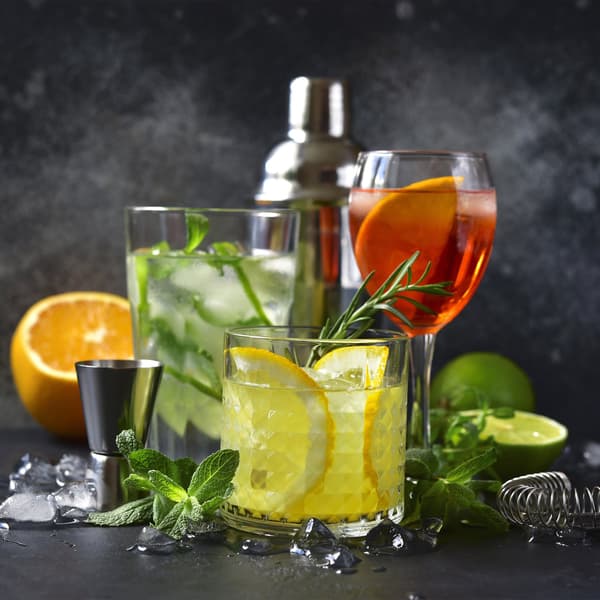 Cocktailsæt rustfrit stål 5 dele