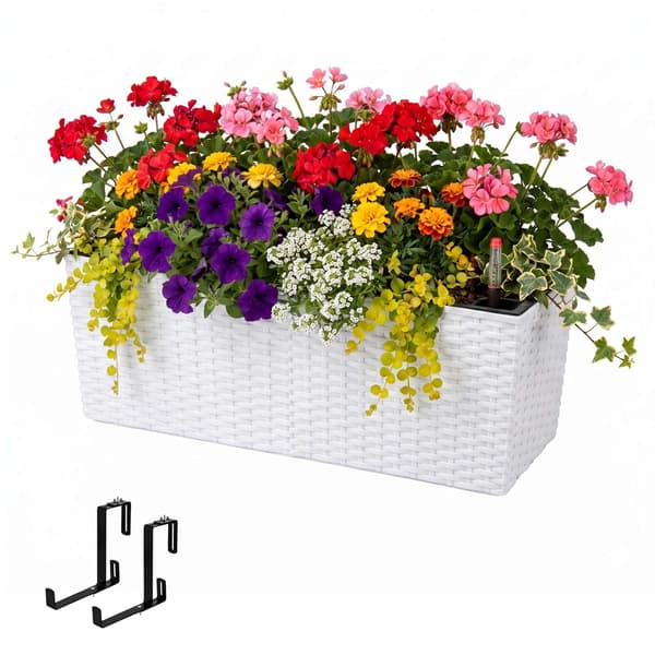 Balkongrotningplanter med vattennivåindikator, vit