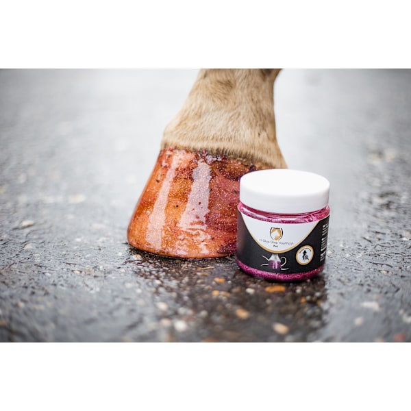 Excellent Horse Hi Gloss Glitter Hoof Polish Silver 150 ml