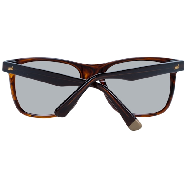 WEB SUNGLASSES