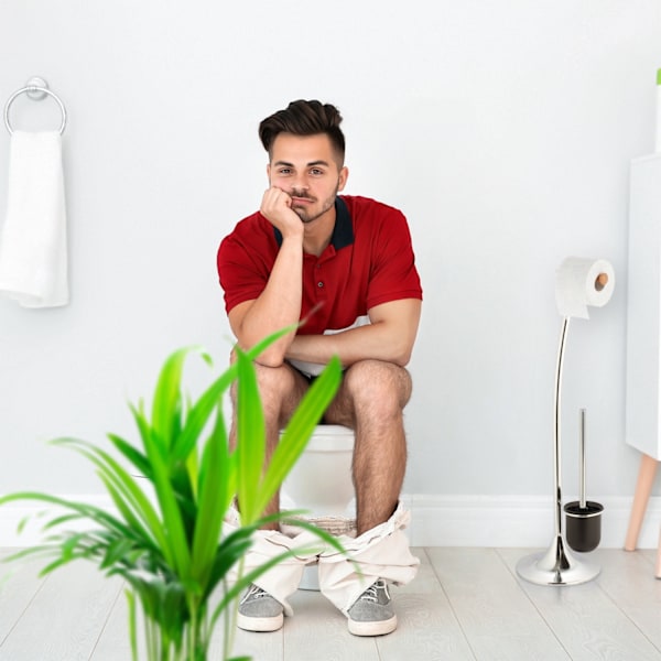WC-harjasarja, jossa 2 + 4 lisäpäätä
