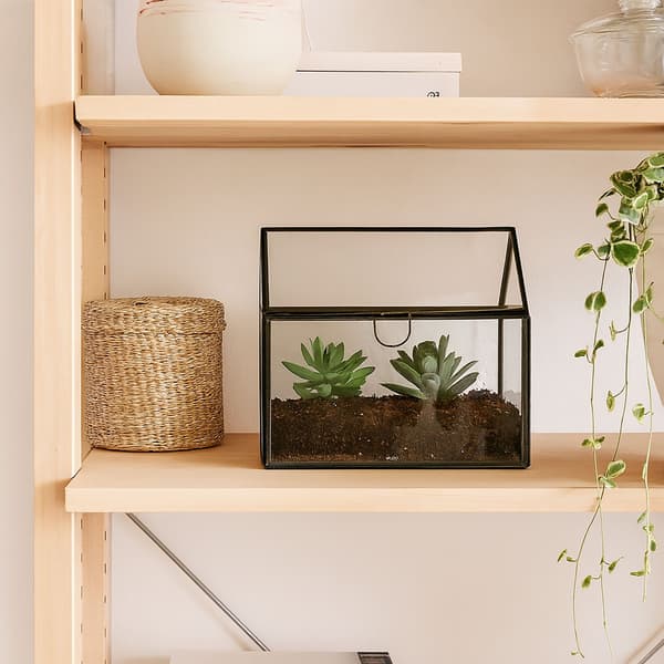 Glasterrarium för växter, husformad, kompakt storlek