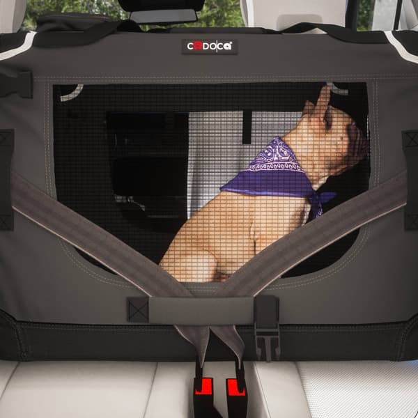 Hundetransport XXL, foldbar, netsider, 90x60x66cm