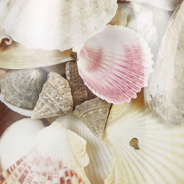 Seashell Jar Setti 3