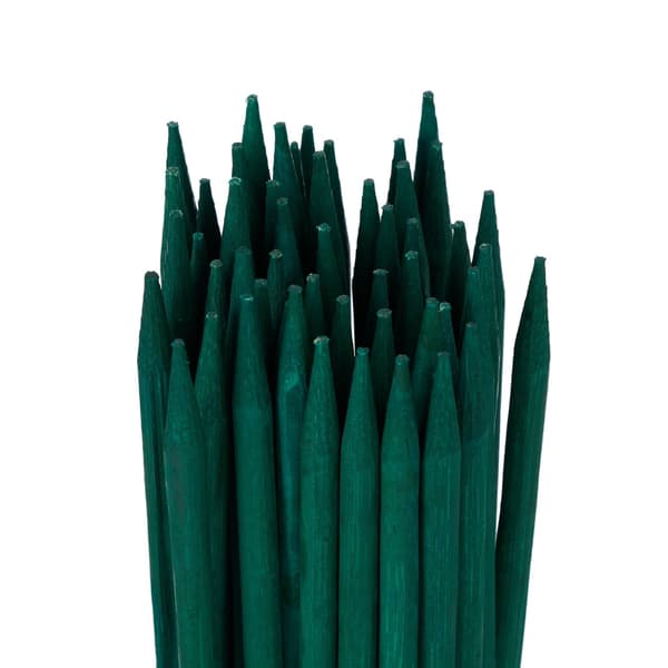 Blompinnar 30 cm i ett set om 50 st
