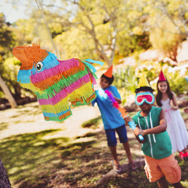 Pinata æsel