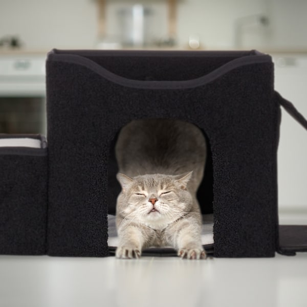 Kattgömma med flera liggplatser
