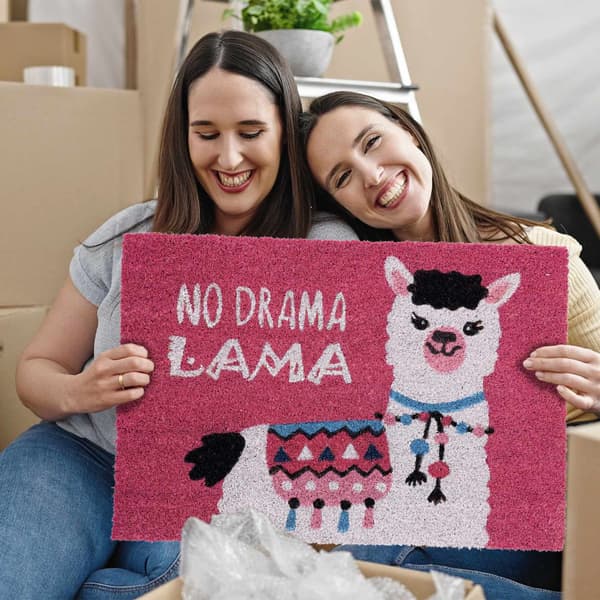 Ovimatto Llama