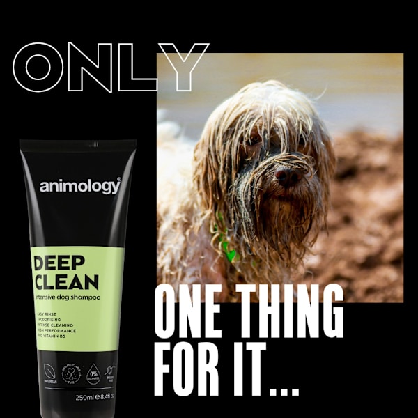 Animology Deep Clean shampoo