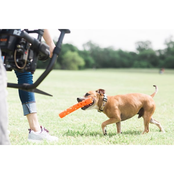 Chuckit! Air Fetch Stick