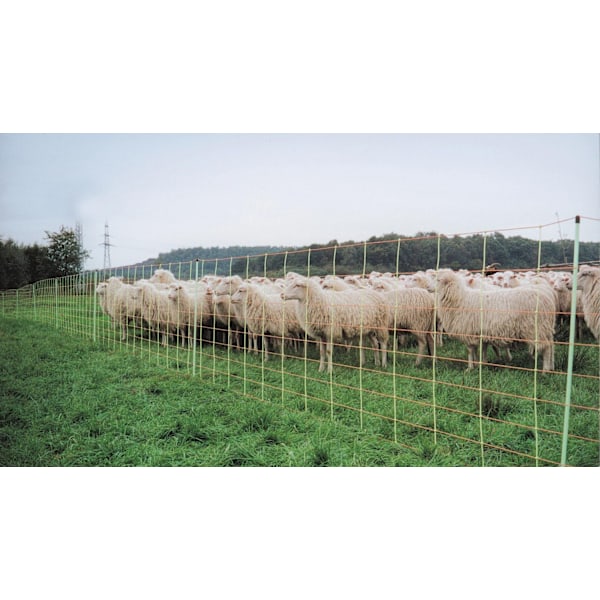 Euro-Net Universeel 80 cm enkelspets