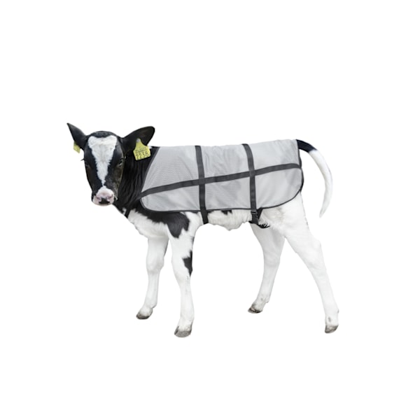 Bodyguard Calf Summer filt