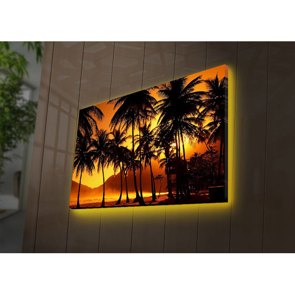 Dekorativ LED-belyst canvasmålning 4570DACT-36