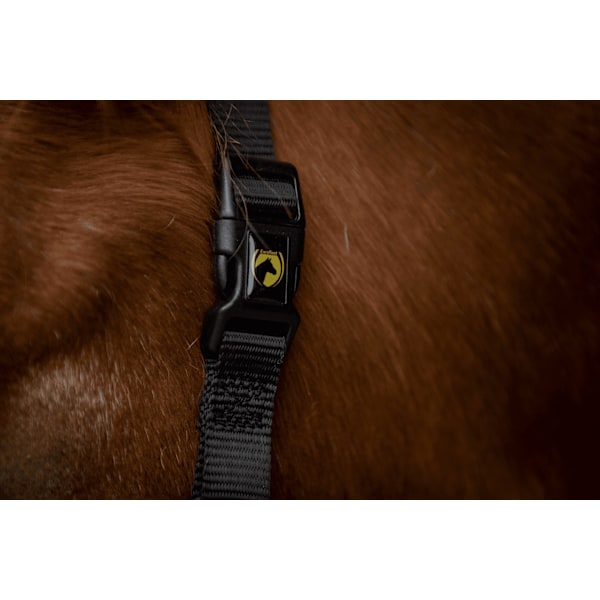 Fremragende Horse Superior Halter XS Mini Føl Sort