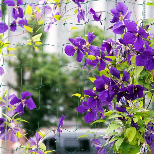 Trellis net 200 x 1000 cm