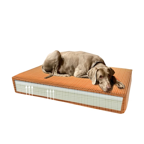 Madison Ortopedisk kudde Sammet orange S