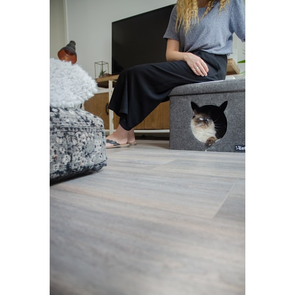 Lad os sove Pet Cube lys/mørkegrå
