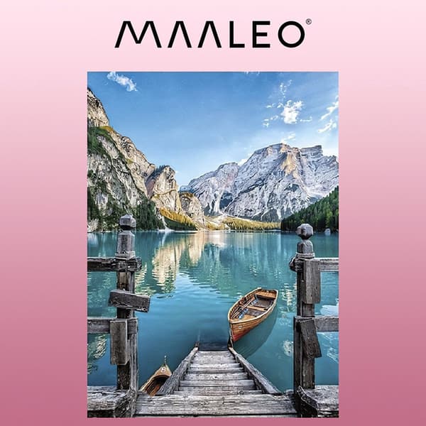 Maalaus numeroiden mukaan 40x50cm - maalaus Maaleo 22785